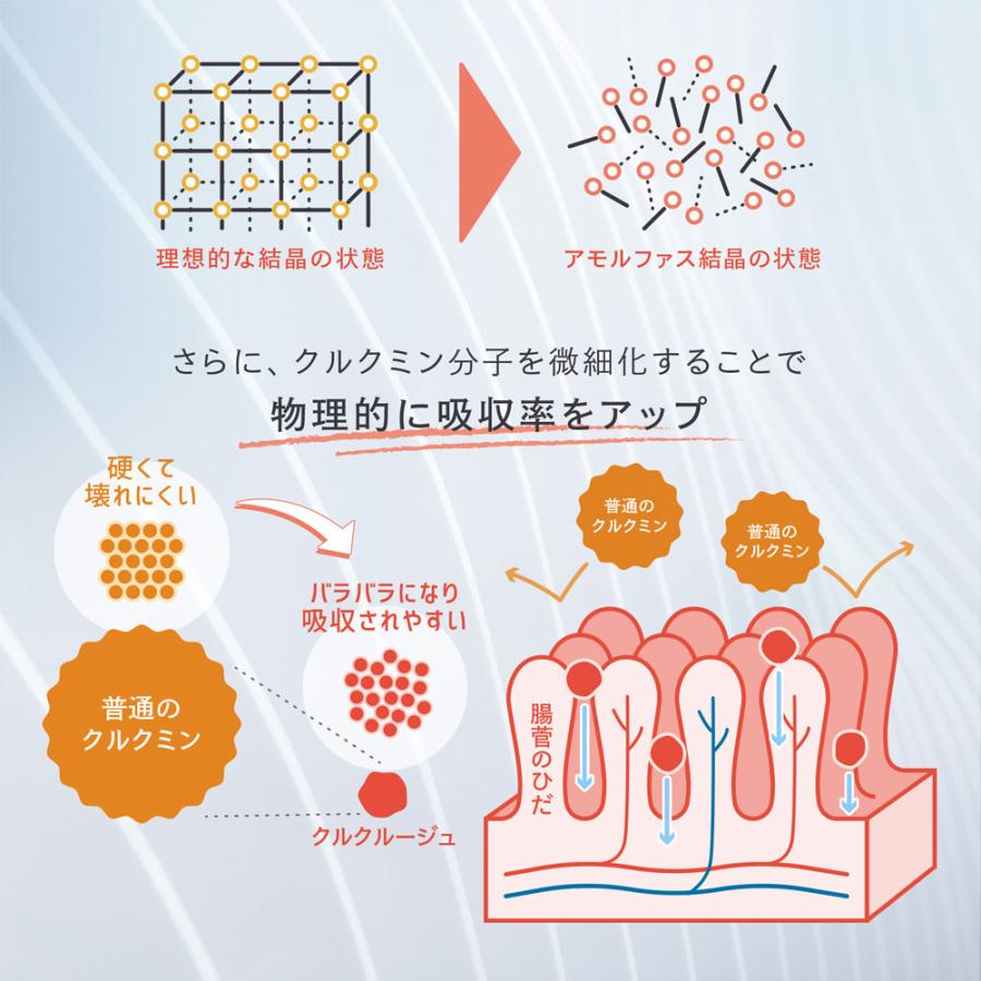 高吸収型 クルクミン クルクルージュ サプリメント 62粒 5個セット