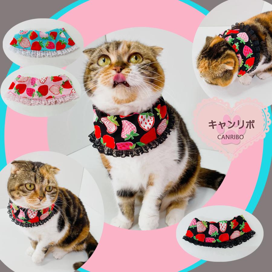 送料無料 猫 首輪 猫用首輪 ねこ 猫首輪 安全 お洒落 おしゃれ 可愛い かわいい 軽い 軽量 いちご 犬 いぬ ペット キャンリボ シュシュケープ 手書き 苺 Compass ペットグッズ キャンリボ 通販 Yahoo ショッピング