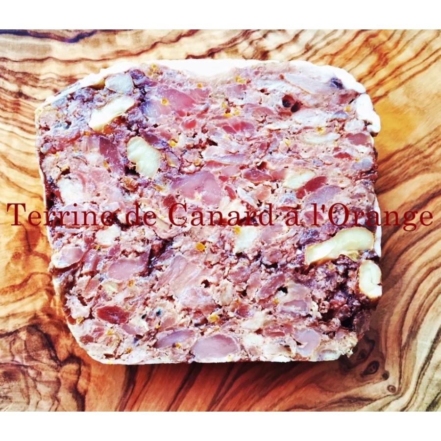 テリーヌ6種と鴨肉のロースト、馬肉赤ワイン煮込みのセット |  | 06