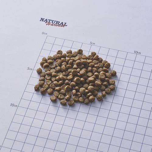 ナチュラルハーベスト（NATURAL harvest） キドニア 1.1kg×6袋セット