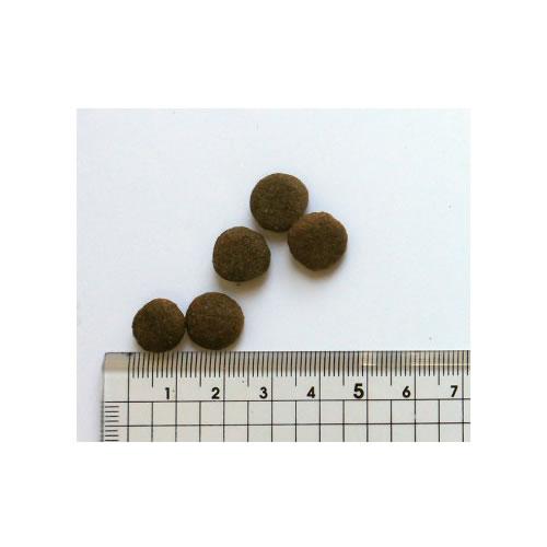 BLACKWOOD（ブラックウッド） （無添加おやつ付き）ブラックウッド