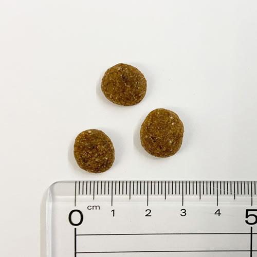 （無添加おやつ付き）ブラックウッド 5000　2.7kg（2025年リニューアル品）　BLACKWOOD | BLACKWOOD | 01