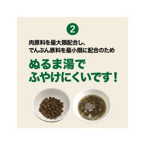 キアオラ（猫用） キャットフード カンガルー 900g×2個セット（Kia Ora CAT 猫用 正規品） | Kia Ora | 02