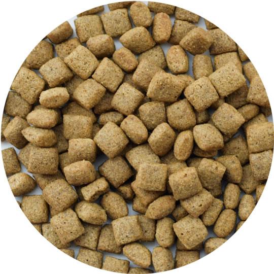 ボディバランス320アダルト ウェイトマネジメント（成犬用） 1.5kg×2個セット | VOICE（ペット用品） | 01