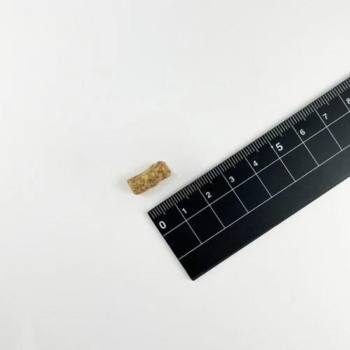 【賞味期限：2026年04月09日】ソウルメイト キャット（猫用） ベイクド＆エアドライフード　シーフード 1.6kg（オールステージ SoulMate） |  | 02