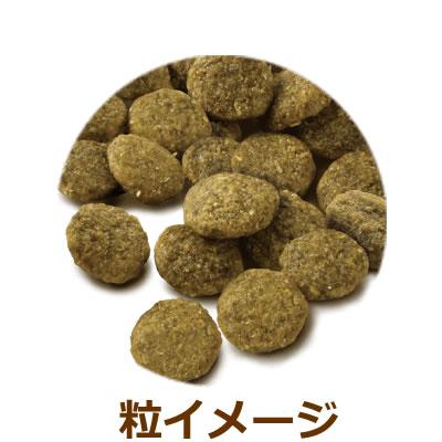 セレクトバランス ケアレシピ 消化器サポートレシピ 2.4kg （ホワイトフィッシュ小粒 1才以上の成犬用） | SELECT BALANCE | 01