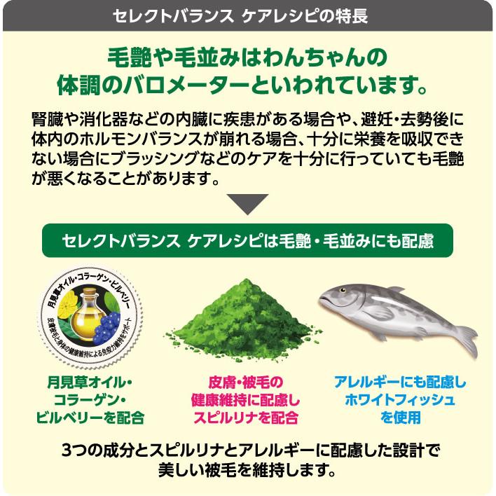 セレクトバランス ケアレシピ 消化器サポートレシピ 2.4kg （ホワイトフィッシュ小粒 1才以上の成犬用） | SELECT BALANCE | 02