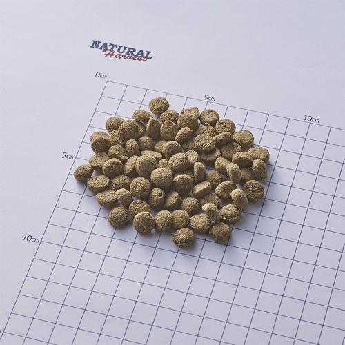 ナチュラルハーベスト レジーム スモール ラム　1.1kg×2袋セット |  | 01