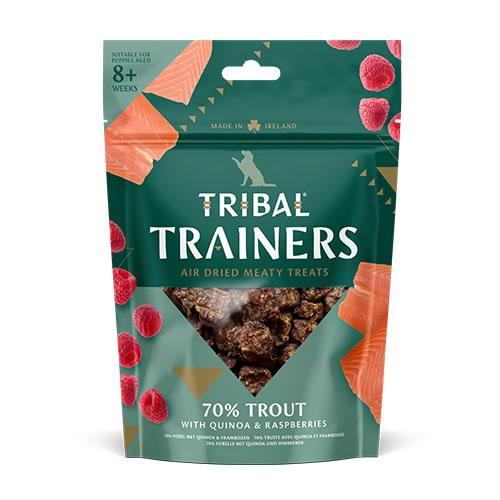 トライバル エアドライトリーツ トラウト 80g（TRIBAL） | 