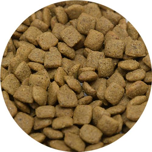 ボディバランス エイジングサポート（7歳からの犬用）10kg バリューパック | VOICE（ペット用品） | 01