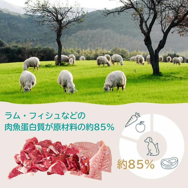 フロンティアペッツ ラム＆天然フィッシュ 300g×2個セット 犬用 フリーズドライ（総合栄養食 全年齢 FrontierPets） |  | 02