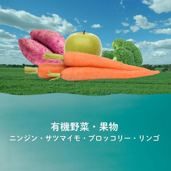 フロンティアペッツ フリーレンジポーク 300g×2個セット 犬用 フリーズドライ（総合栄養食 全年齢 FrontierPets） |  | 03