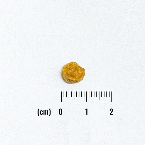 ナチュラルバランス LID 成犬用 ベジタリアンレシピ （小粒） 2kg （ヴィーガン対応・LIMITED INGREDIENT） | Natural Balance | 01