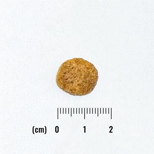 ナチュラルバランス LID RESERVE 成犬用 スイートポテト&鹿肉レシピ 5kg（グレインフリー・LIMITED INGREDIENT） | Natural Balance | 01