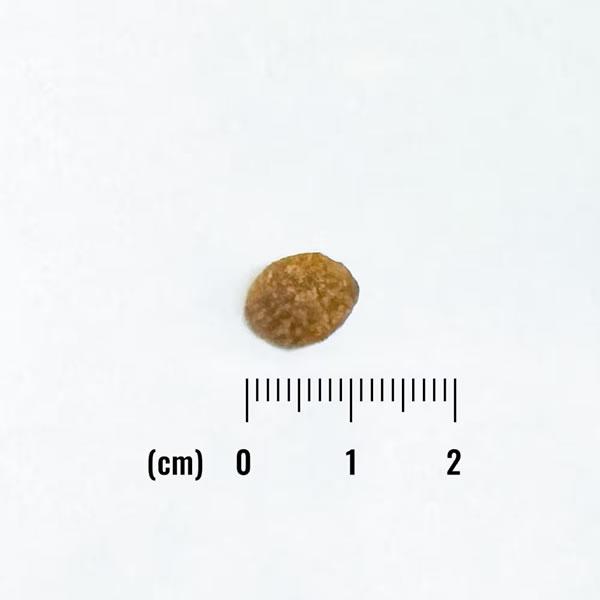 ナチュラルバランス オリジナルウルトラ 猫用 チキン&サーモンレシピ 全年齢用 1.8kg（ORIGINAL ULTRA） | Natural Balance | 01