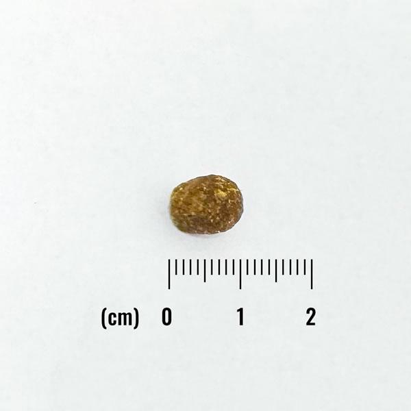 ナチュラルバランス オリジナルウルトラ 成猫用 鶏肉&サーモンレシピ 室内猫用 1.8kg（インドアキャット ORIGINAL ULTRA） | Natural Balance | 01