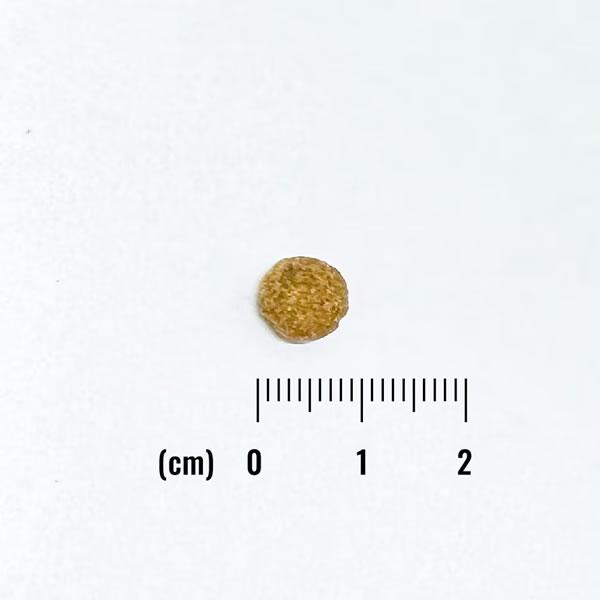 ナチュラルバランス オリジナルウルトラ 成猫用 低カロリーレシピ 1.8kg（ORIGINAL ULTRA） | Natural Balance | 01