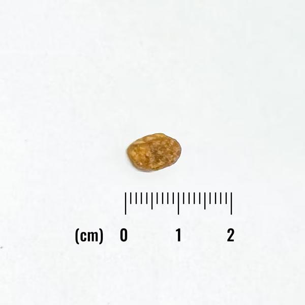 ナチュラルバランス LID RESERVE 成猫用 ダック&グリーンピースレシピ 1.8kg（グレインフリー LIMITED INGREDIENT） | Natural Balance | 01