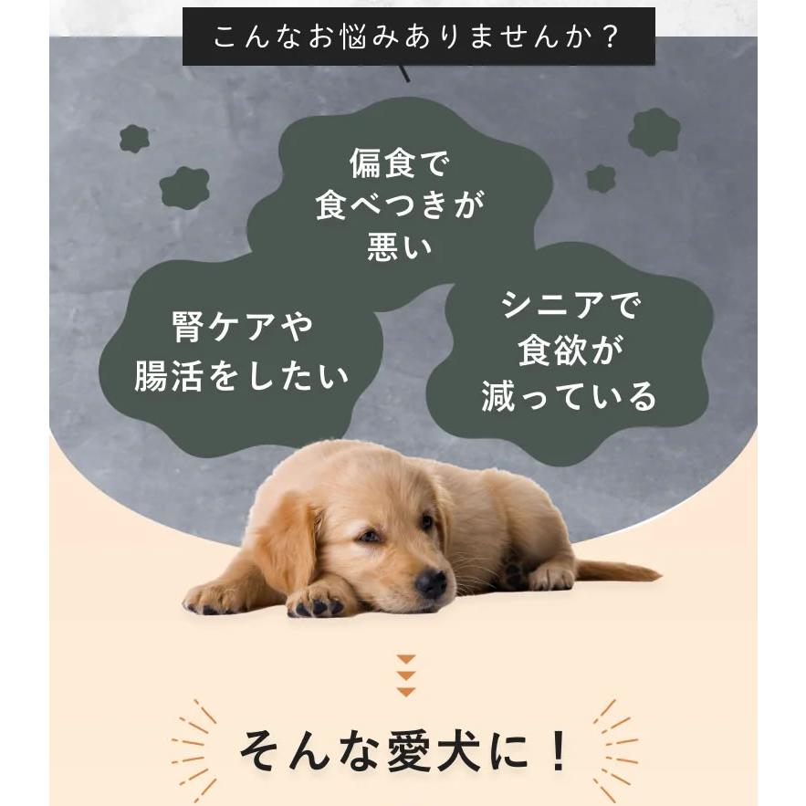 シルクフル SILKFULL 犬用プレミアムウェットフード ビーフ味 100g×12個セット　国産無添加 特許製法シルク成分配合 |  | 03