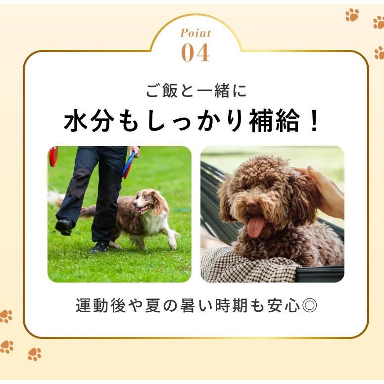シルクフル SILKFULL 犬用プレミアムウェットフード シカ味 100g×12個セット　国産無添加 特許製法シルク成分配合 |  | 07
