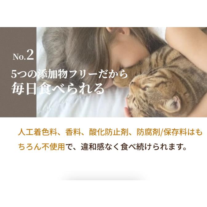 シルキャット SILCAT 猫用プレミアムウェットフード カツオ味 35g×12個セット　（国産無添加 特許製法シルク成分配合 シルクフル猫 SILKFULL CAT） |  | 04