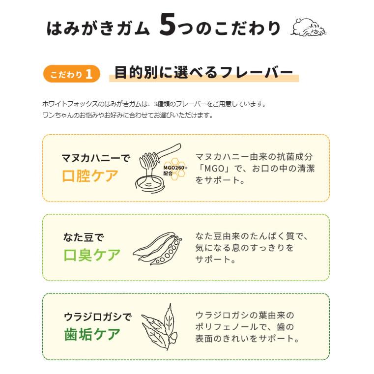 ホワイトフォックス ウラジロガシのはみがきガム 愛犬用 30本入り　white fox | white fox | 03