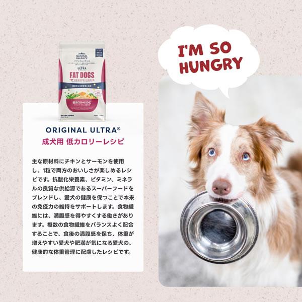 ナチュラルバランス オリジナルウルトラ 犬用 鶏肉＆スイートポテトレシピ 全年齢用 1.8kg （グレインフリー ORIGINAL ULTRA） | Natural Balance | 06