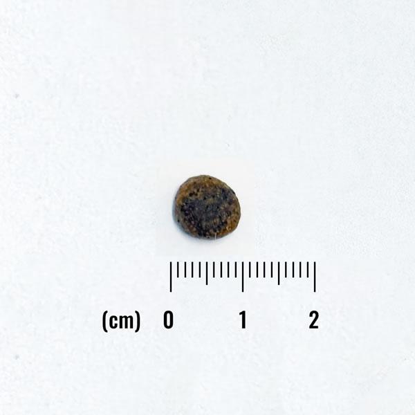 ナチュラルバランス LID 成犬用 ラム＆玄米レシピ （小粒） 1.8kg（LIMITED INGREDIENT） | Natural Balance | 01