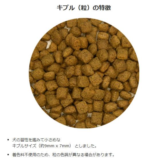 ボディバランス 380 オールステージ トーンドボディマネジメント（全年齢用）1.5kg×2個セット | VOICE（ペット用品） | 01