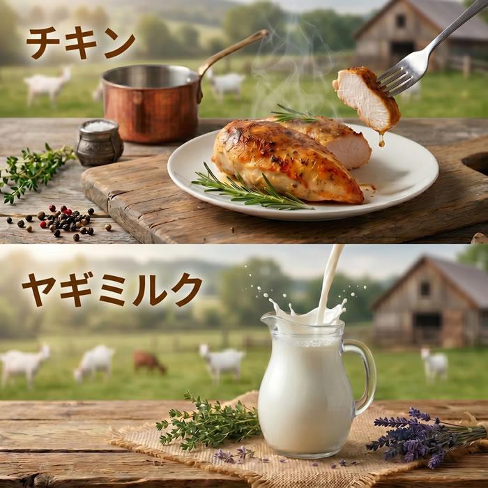 シルキャット SILCAT 猫用 しるるんピューレ ヤギミルク 10g×4本入り（国産無添加 特許製法シルク成分配合 シルクフル猫 SILKFULL CAT） |  | 07