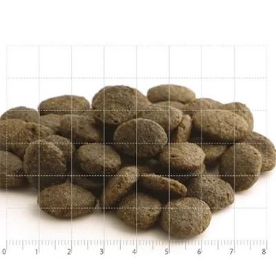 フィッシュ4 フィッシュ4ドッグ ファイネスト サーモン 大粒 3kg（無