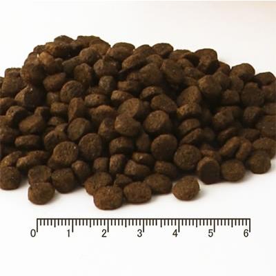 フィッシュ4 フィッシュ4ドッグ スーペリア ウェイトコントロール 3kg