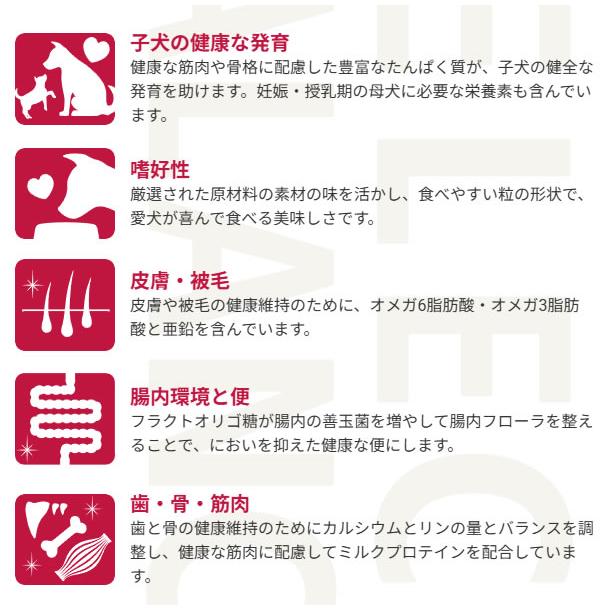 （国産おやつ＆おまけ付き）セレクトバランス パピー チキン 小粒 3kg×2個セット　子犬・母犬用 | SELECT BALANCE | 01