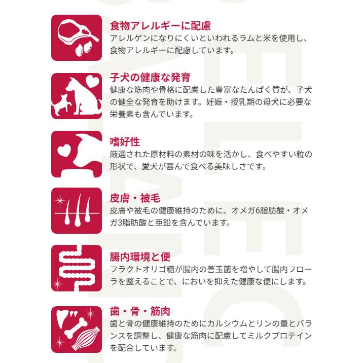 （国産おやつ＆おまけ付き）セレクトバランス パピー ラム 小粒 3kg　子犬・母犬用 | SELECT BALANCE | 01