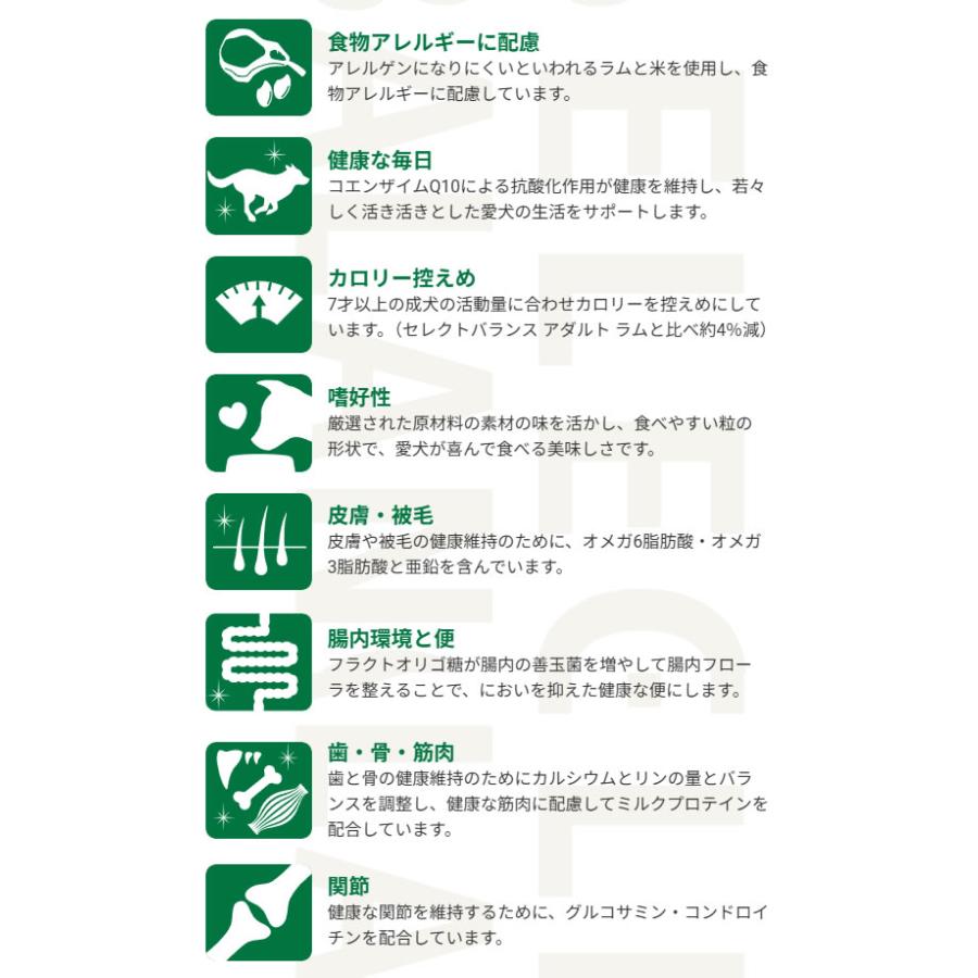 SELECT BALANCE （国産おやつ＆おまけ付き）セレクトバランス
