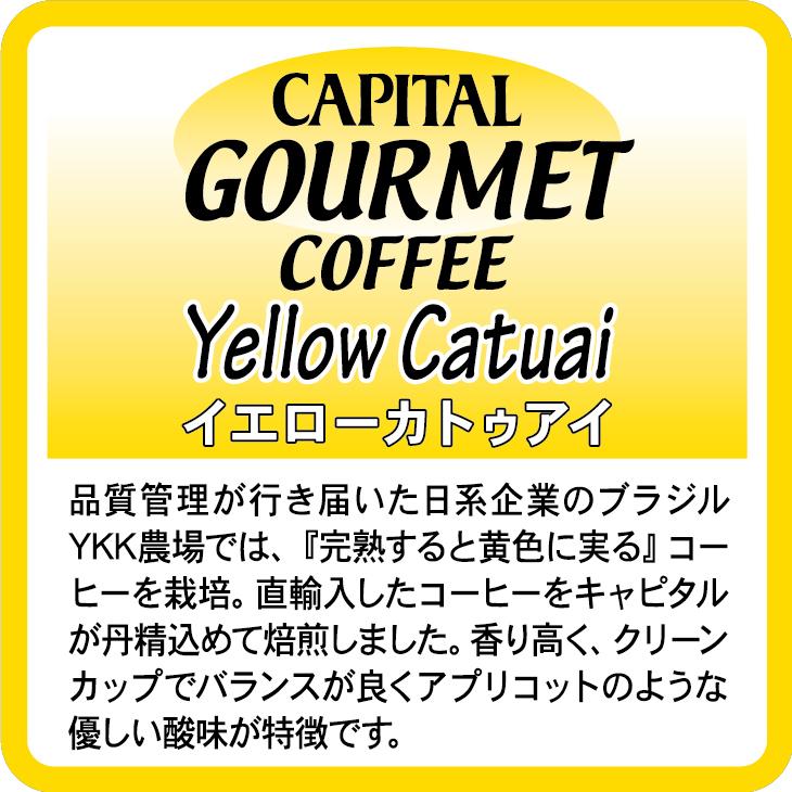 CAPITAL(食品) CAPITAL ブラジル イエローカトゥアイ YKK農場 焙 CAPITAL(食品) CAPITAL ブラジル イエローカトゥアイ YKK農場 焙