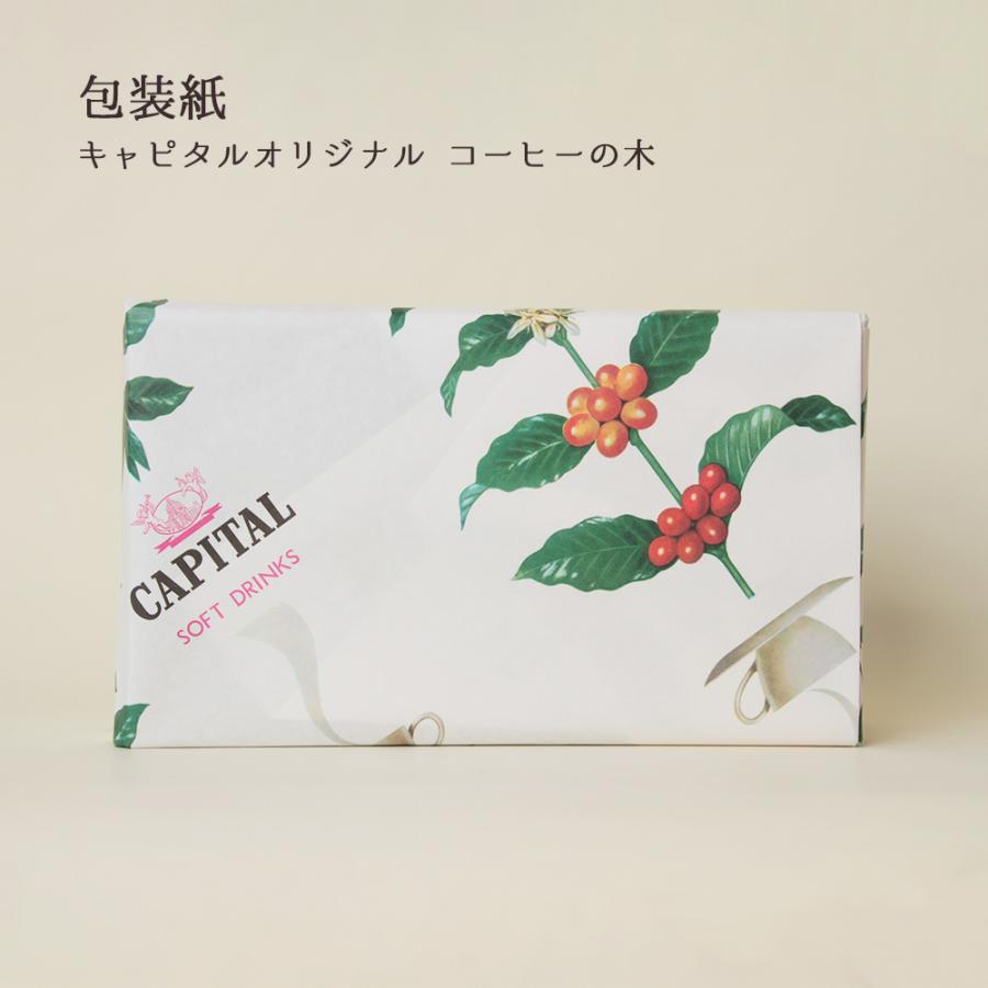 CAPITAL（キャピタル） ドリップコーヒー フリュイ・フルール 2種