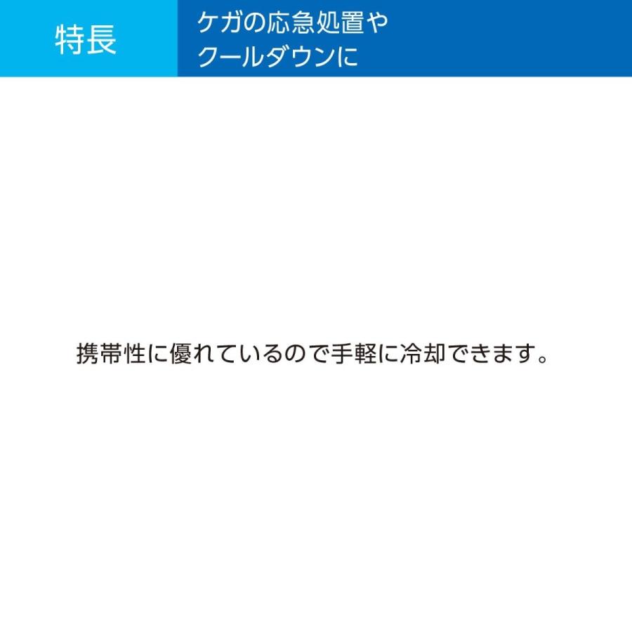 ザムスト(ZAMST) アイシング 氷のう アイスバッグ 野球 バスケ Sサイズ ブルー 378101｜caply