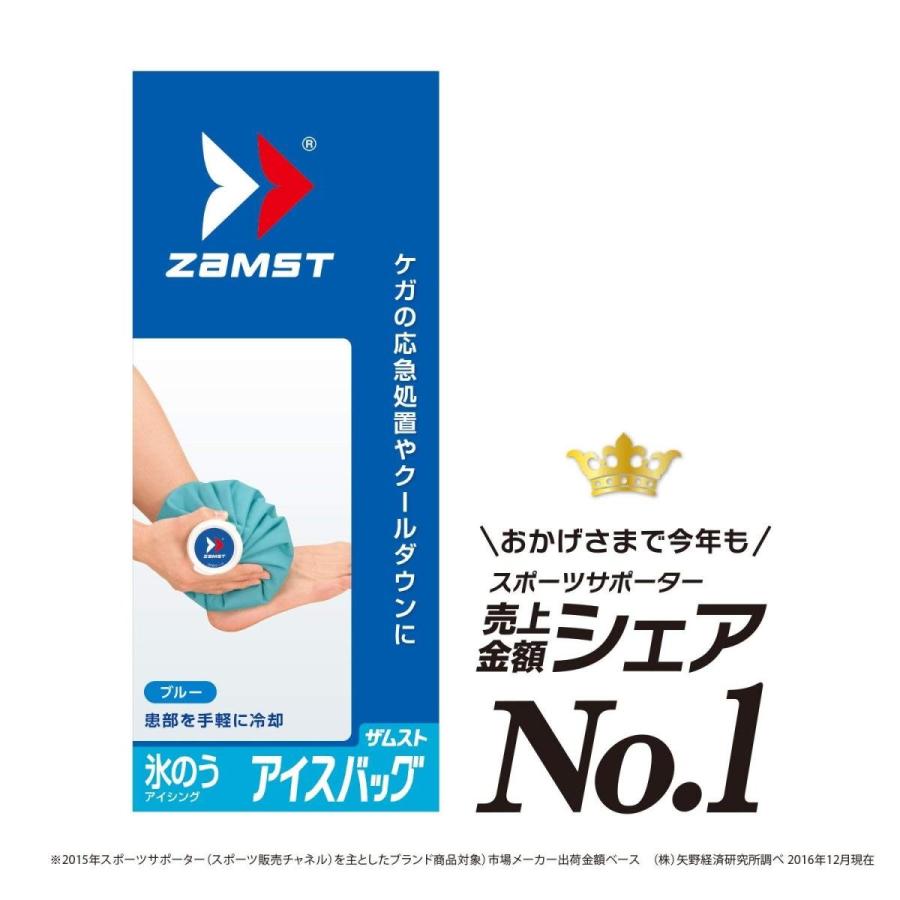 ザムスト(ZAMST) アイシング 氷のう アイスバッグ 野球 バスケ Sサイズ ブルー 378101｜caply｜06