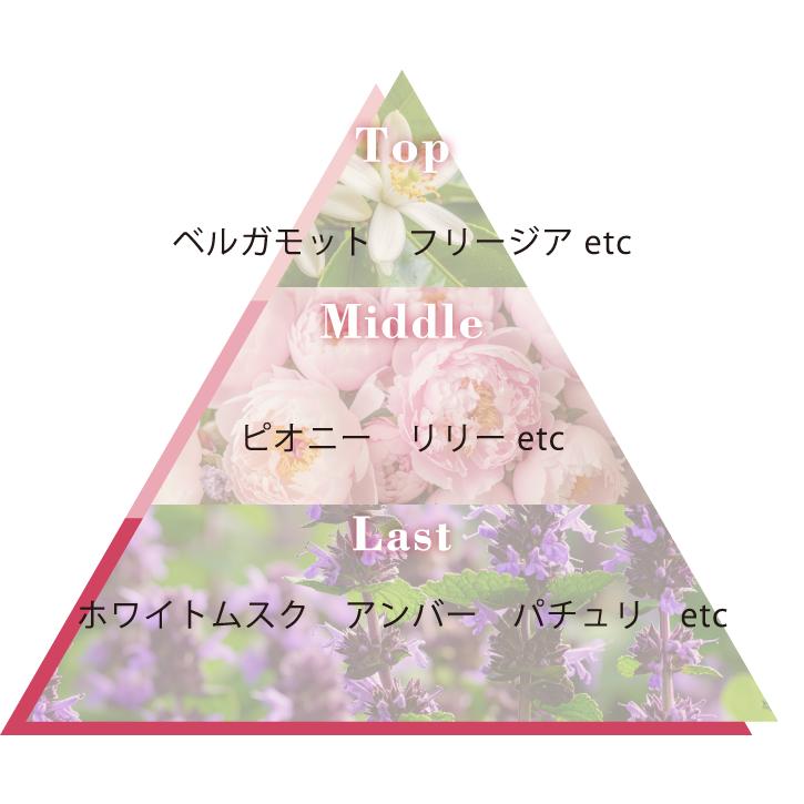 アミニーシャンプーII [300mL] |  | 01