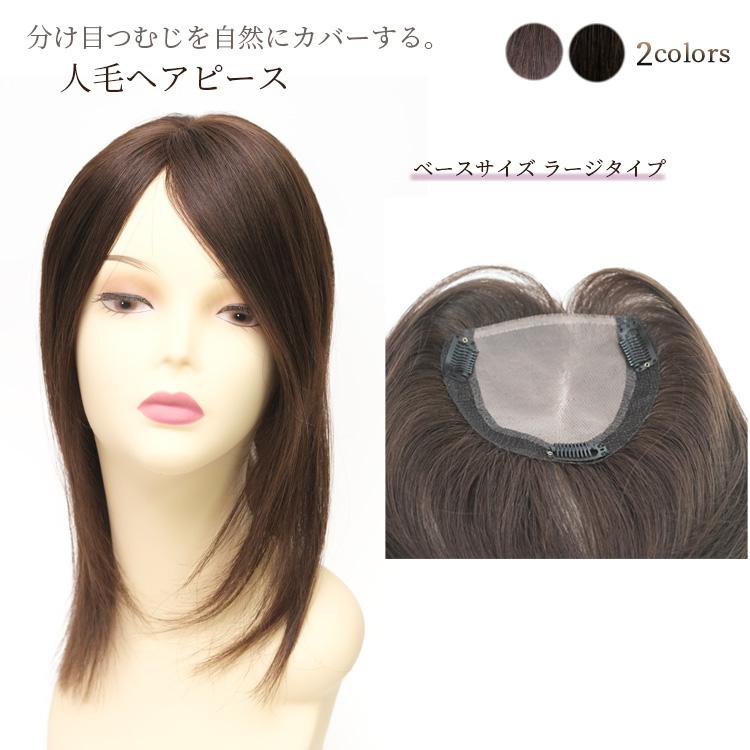 送料無料 人毛100 ヘアピース 部分ウィッグ ストレート 軽くて自然な総手植え 薄毛 白髪に ロング デラックスタイプ Cp T40l コンビニ受取対応商品 Altammamfactory Com Jo