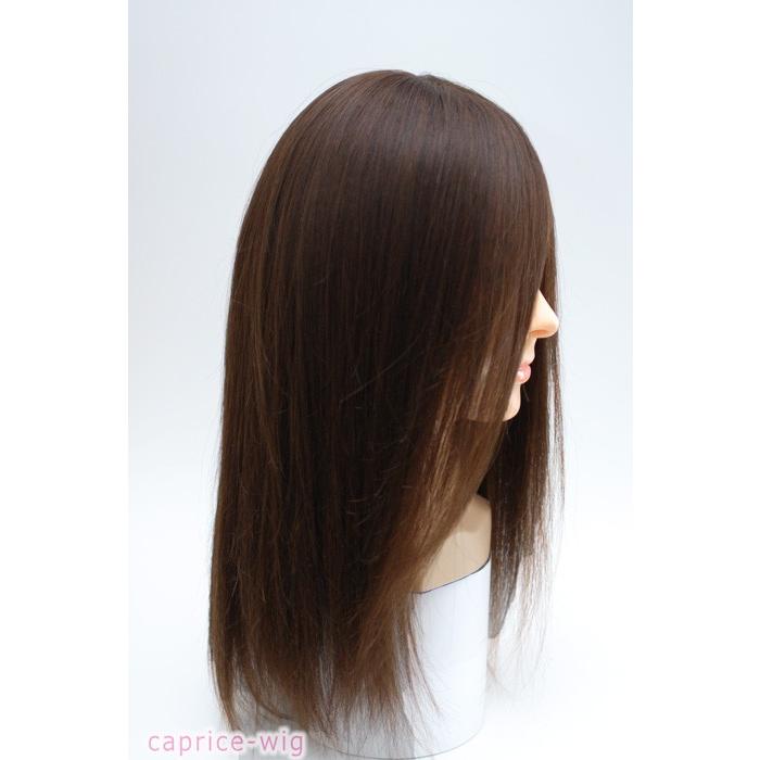 人毛ウィッグ 自然 医療用 ロング ストレート プレーン 未カット 人毛ウィッグ 自然 医療用 ロング ストレート プレーン 未カット