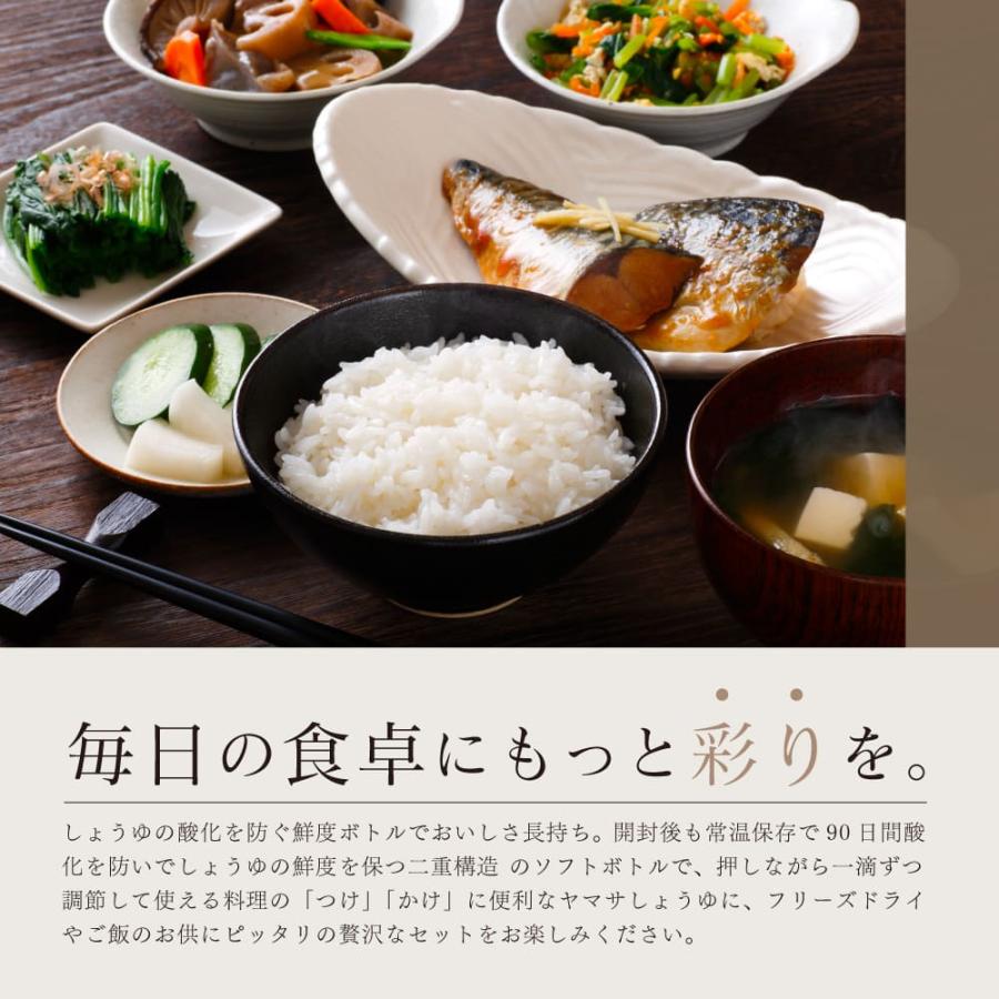 【特価セール】ヤマサ鮮度しょうゆ＆フリーズドライバラエティセット CR-70 半額 ヤマサ鮮度しょうゆ＆フリーズドライ バラエティセット CR-70