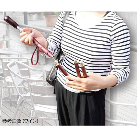 KINDCARE 杖 ステッキ SLTステッキ 伸縮折りたたみ杖 スリムネック