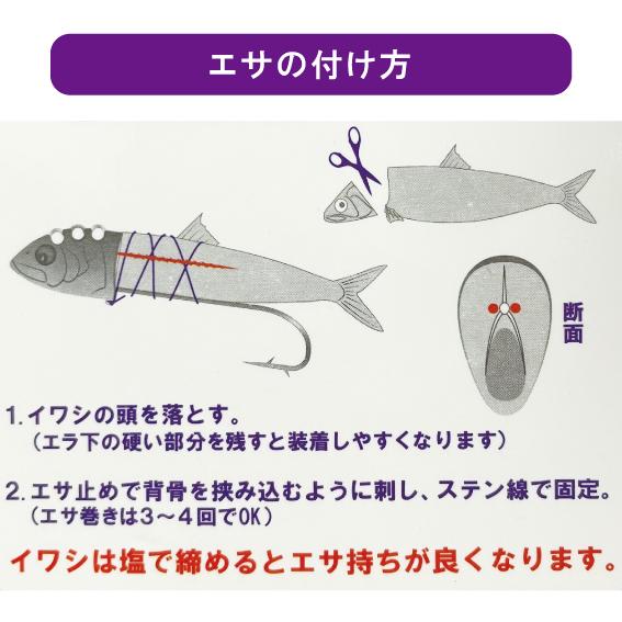 ヤマリア 太刀魚テンヤ 猛追 50号 喰わせ系テンヤ 鰯タイプ Yamashita Moutsui50 キャプテンaクラフト 通販 Yahoo ショッピング