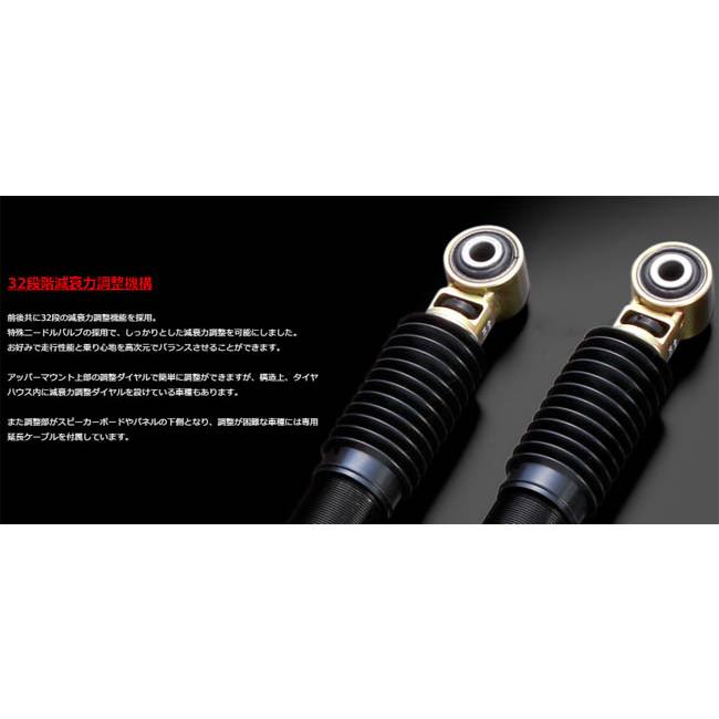 BLITZ スカイライン ECR33(1993/08-1998/05) RB25DET ブリッツ 車高調 