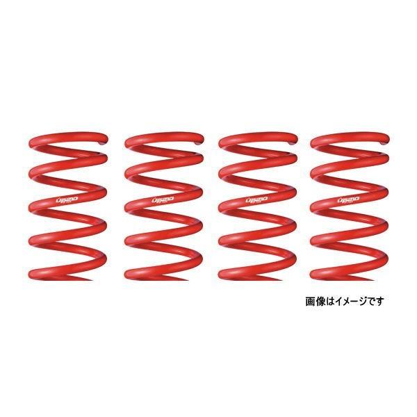 tanabe タナベ CV5WUK DEVIDE UP210 アップサス デリカD5 1台分 車高アップスプリング