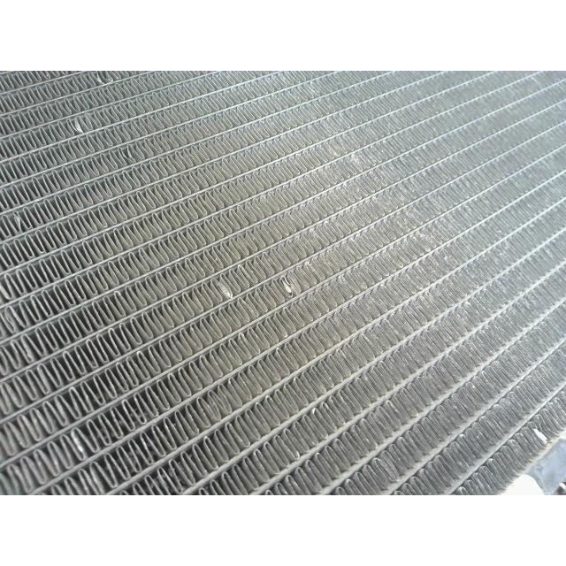 れんこんさん専用 楽天市場】【ふるさと納税】【先行予約】レンコン 2kg【新