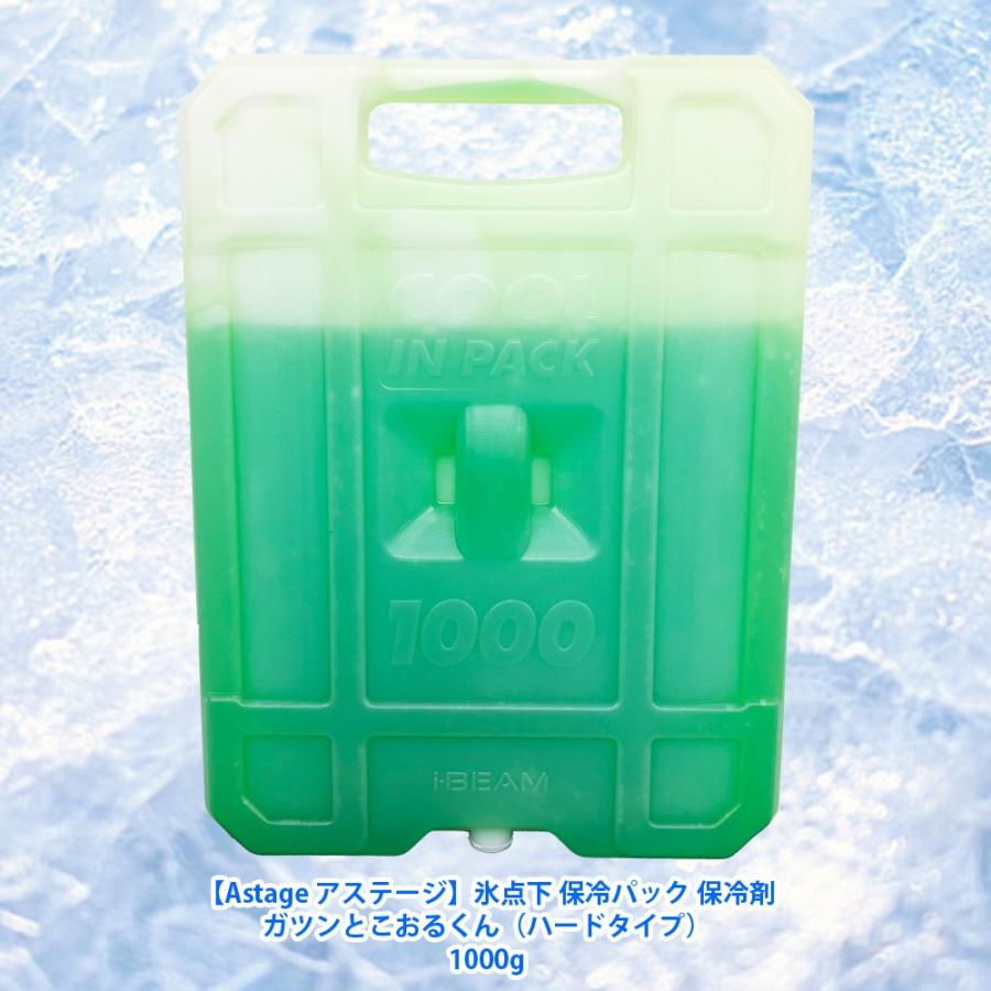 Astage アステージ 保冷パック 保冷剤 激冷え 氷点下 約 15 Cool In Pack ハードタイプ 1000g 1kg Astage 633 キャラメルカフェストア 通販 Yahoo ショッピング