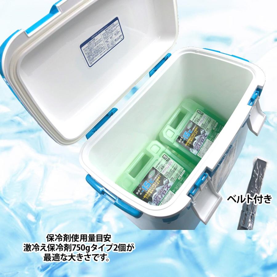 送料無料 Astage アステージ クーラーボックス 25 25l 保冷剤 750g 2個セット Astage132 632p2 キャラメルカフェストア 通販 Yahoo ショッピング
